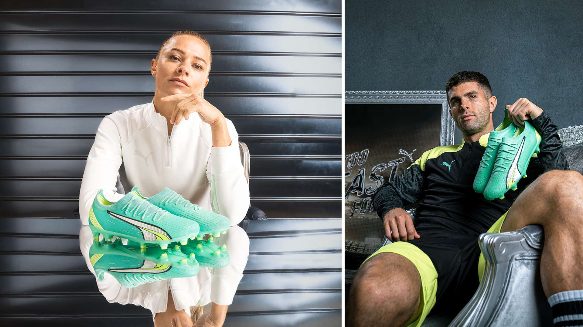 项目还包括 项目还包括